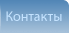 Контакты